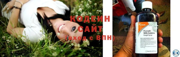 spice Богородицк