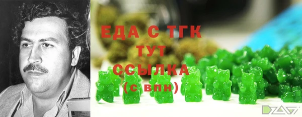 spice Богородицк