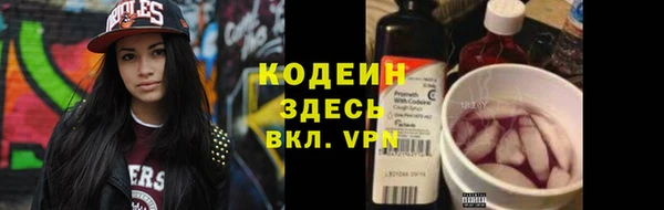 spice Богородицк