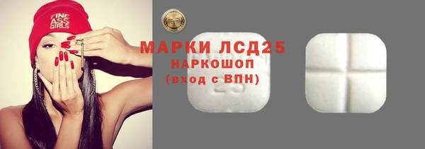 spice Богородицк