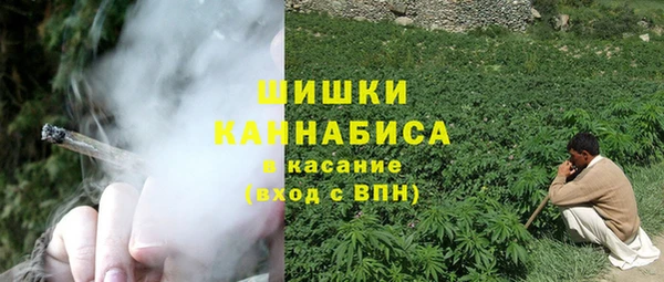 гашик Богородск