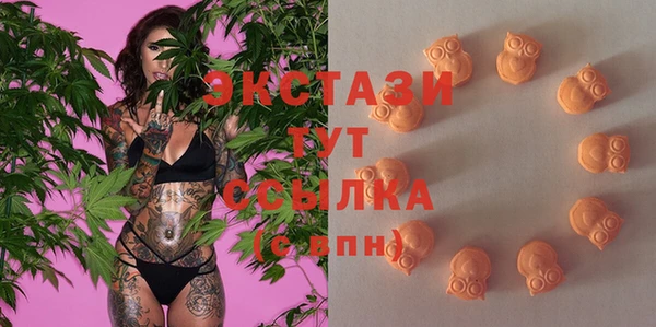 spice Богородицк