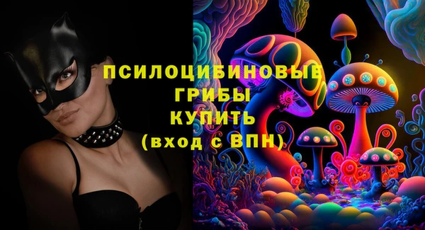 spice Богородицк