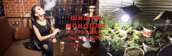 гашик Богородск