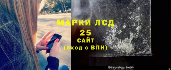 spice Богородицк