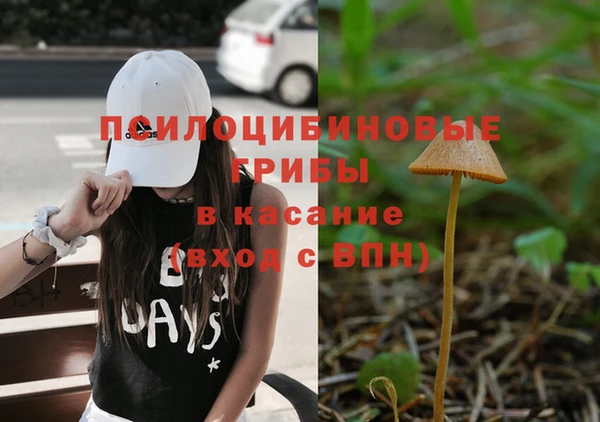 гашик Богородск