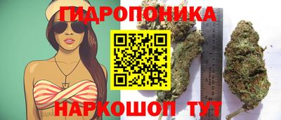 гашишное масло Канаш