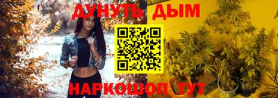 сатива Кингисепп