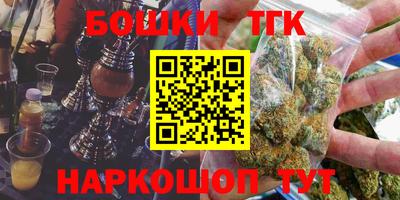 сатива Кингисепп