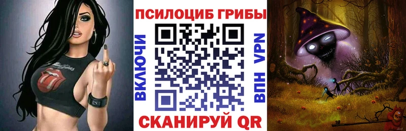 Псилоцибиновые грибы прущие грибы где можно купить гидра вход Муром