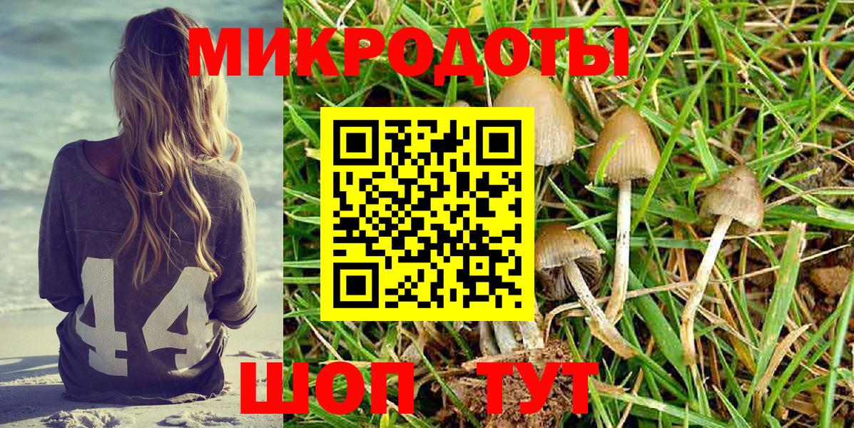 Муром  Псилоцибиновые грибы Psilocybine cubensis  Галлюциногенные грибы MAGIC MUSHROOMS  Вход с VPN 